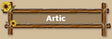 Artic